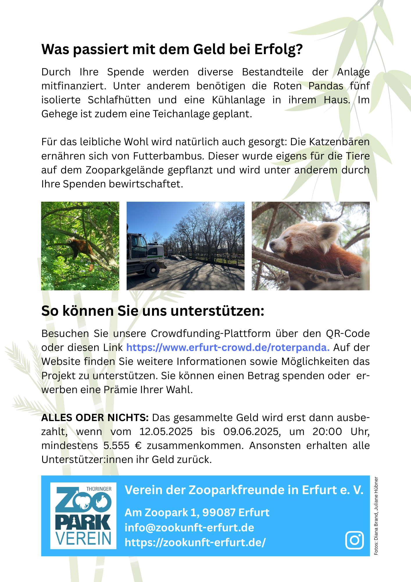 Rückseite